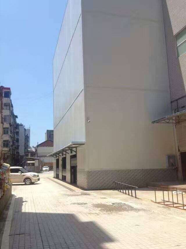 圖片7